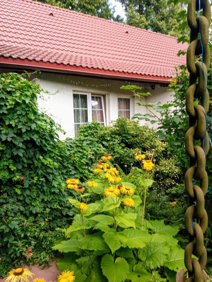 Aparthotel Bialy Dom Ściegny Exterior foto